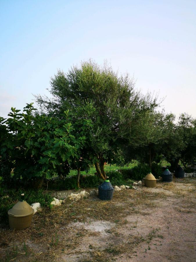 Su Cuile Historical Country House With Barbecue Martis 외부 사진